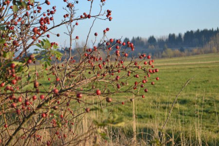 Šípky na okraji cesty